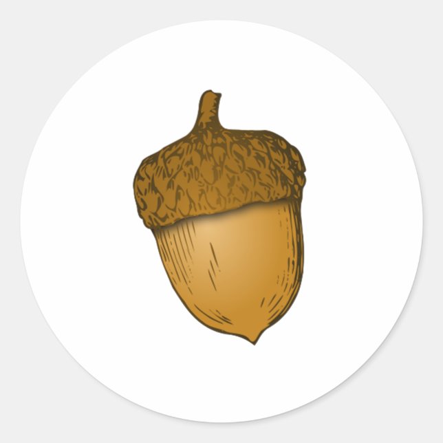 Tree Acorn Classic Round Sticker (Front)