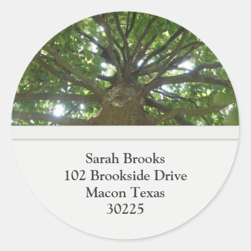 Tree Address Stickers