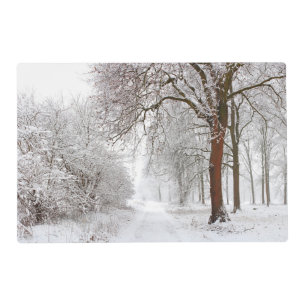 Tree Alley   Stupinigi Parc, Italy Placemat