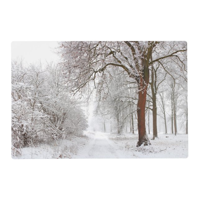 Tree Alley | Stupinigi Parc, Italy Placemat (Front)