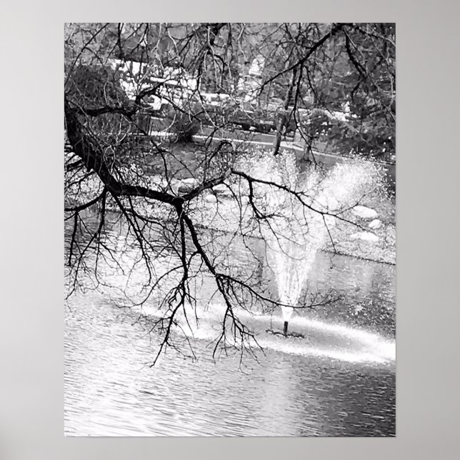 Tree and a Fountain Poster (Front)