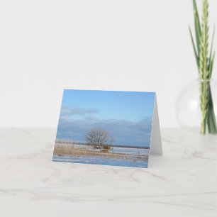 Tree and Icy Waters - Blank Greeting Card