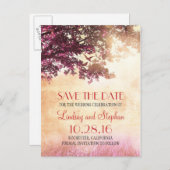 tree and love birds rustic vintage save the date announcement postcard (Front/Back)