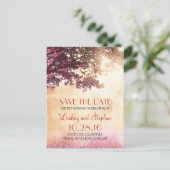 tree and love birds rustic vintage save the date announcement postcard (Standing Front)