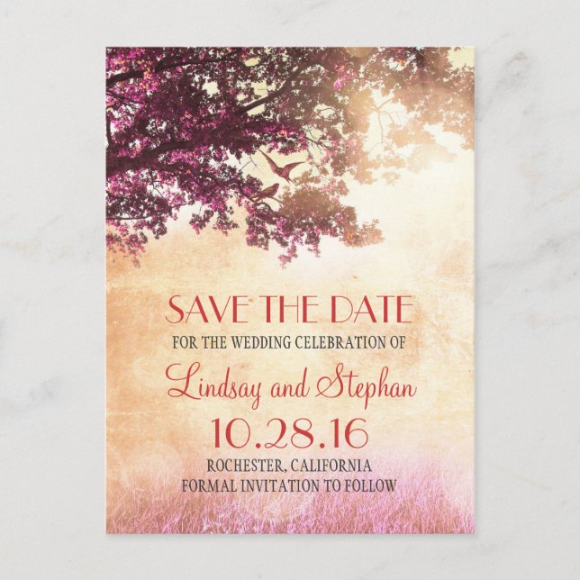 tree and love birds rustic vintage save the date announcement postcard (Front)