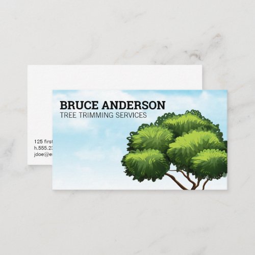 Tree and Sky  Landscaping Business Card