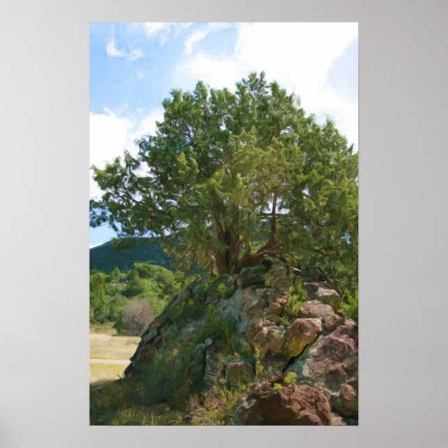 Tree at Capulin Volcano Poster (Front)
