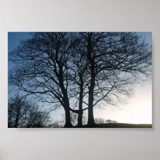 Tree at Dusk Poster