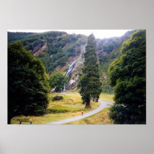 Tree at Powerscourt Falls Poster