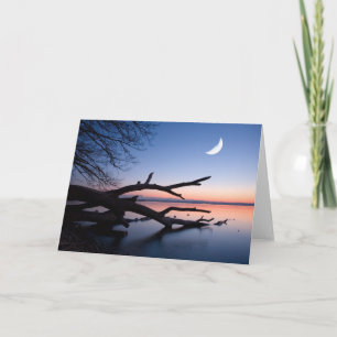 Tree at Starnberg Lake Muensing Bavaria Germany Card