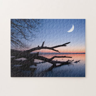 Tree at Starnberg Lake   Muensing Bavaria Germany Jigsaw Puzzle