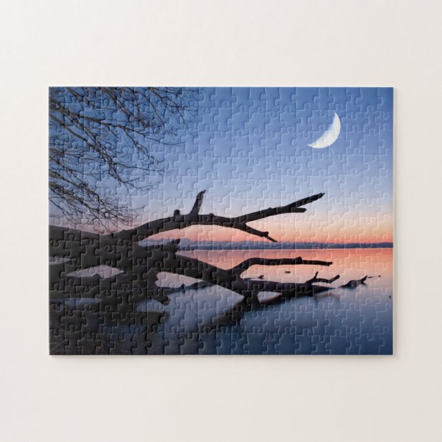 Tree at Starnberg Lake | Muensing Bavaria Germany Jigsaw Puzzle (Horizontal)