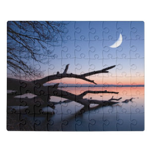 Tree at Starnberg Lake Muensing Bavaria Germany Jigsaw Puzzle
