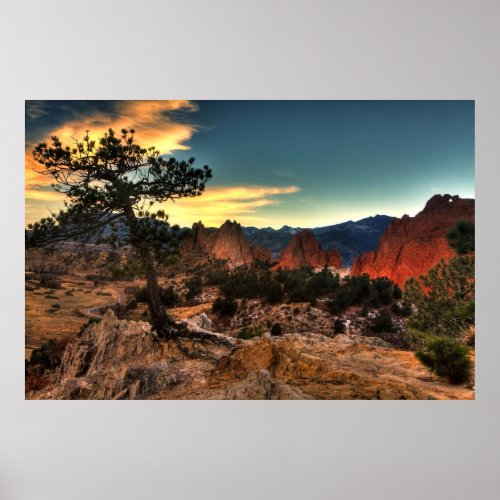 Tree at Sunrise Poster