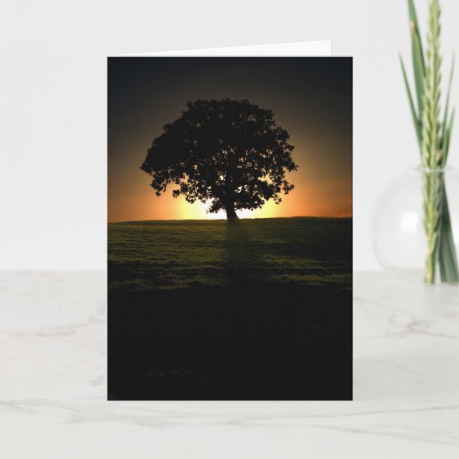 Tree at Sunset. Card by cARTerART. (Front)
