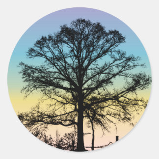 Tree at Sunset Classic Round Sticker