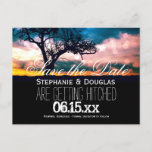 Tree at Sunset Save the Date Wedding Announcement Postcard