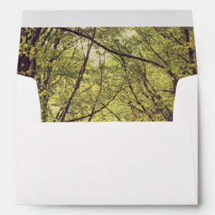 Tree Avenue - Wedding Envelope