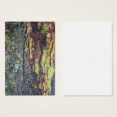 Tree Bark (Front & Back)