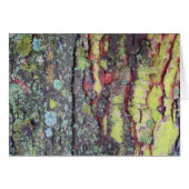 Tree Bark (Front Horizontal)