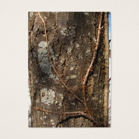 Tree Bark 33 ~ ATC Business Card