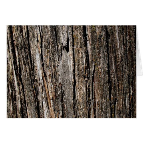 Tree Bark Blank