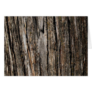 Tree Bark Blank Cards