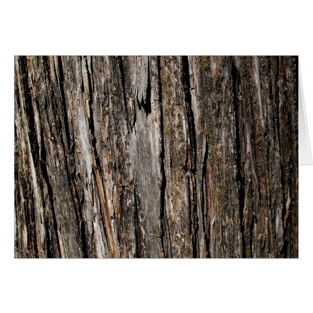 Tree Bark Blank Cards (Front Horizontal)