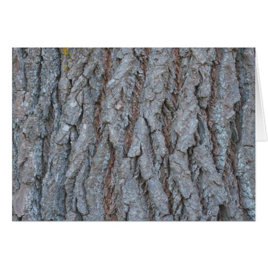 Tree Bark Card (Front Horizontal)