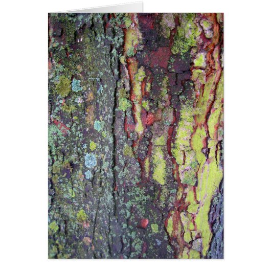 Tree Bark Cards (Front)
