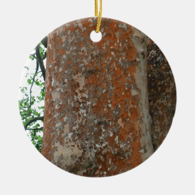 Tree Bark Ceramic Ornament (Front)