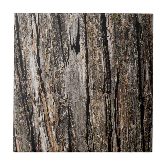 Tree Bark Ceramic Tile (Front)