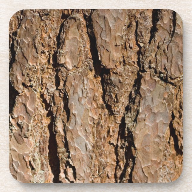 Tree Bark Coasters (Front)