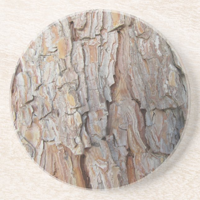 Tree Bark Fall Autumn Patterns Coaster (Front)