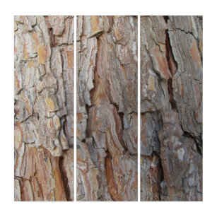 Tree Bark Fall Autumn Patterns Triptych