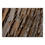 Tree Bark I Natural Abstract Textured Design