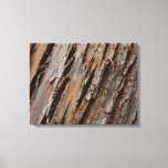 Tree Bark I Natural Abstract Textured Design Canvas Print