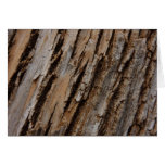 Tree Bark I Natural Abstract Textured Design Cards