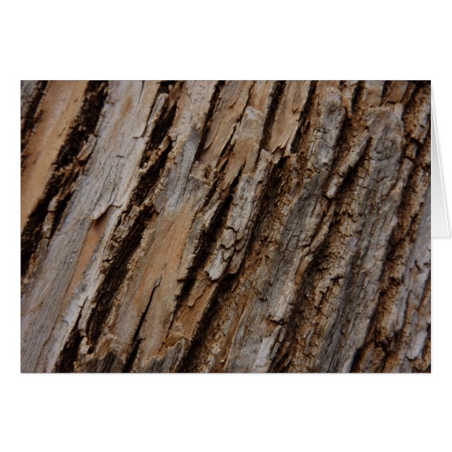 Tree Bark I Natural Abstract Textured Design Cards (Front Horizontal)