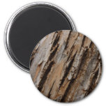 Tree Bark I Natural Abstract Textured Design Magnet