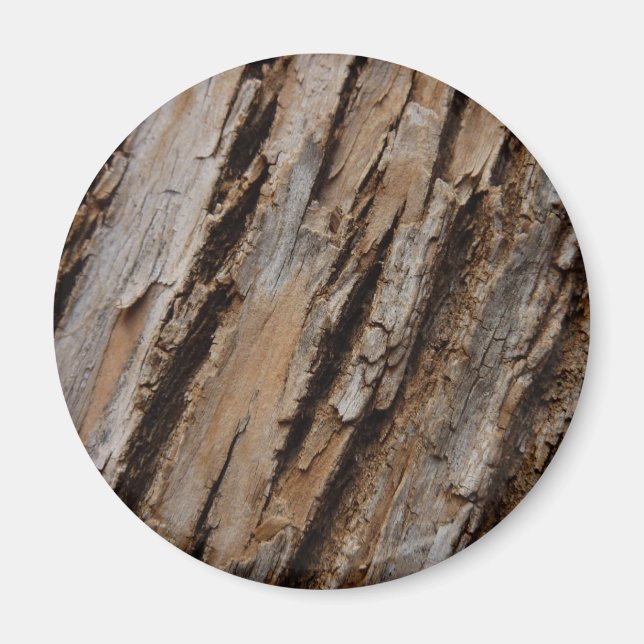 Tree Bark I Natural Abstract Textured Design Magnet (Front)