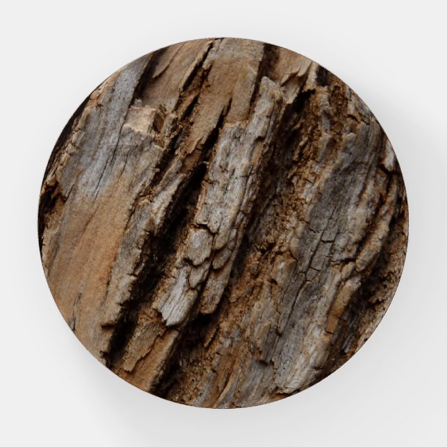 Tree Bark I Natural Abstract Textured Design Paperweight (Front)