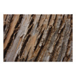 Tree Bark I Natural Abstract Textured Design Photo Print