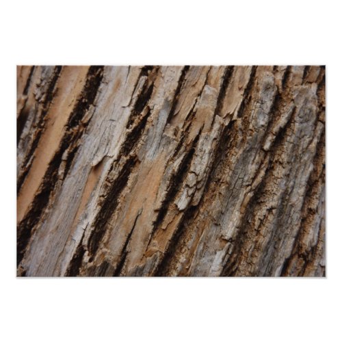 Tree Bark I Natural Abstract Textured Design Photo Print