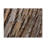 Tree Bark I Natural Abstract Textured Design Postcard