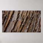 Tree Bark I Natural Abstract Textured Design Poster