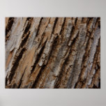 Tree Bark I Natural Abstract Textured Design Poster