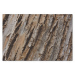 Tree Bark I Natural Abstract Textured Design Tissue Paper