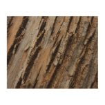 Tree Bark I Natural Abstract Textured Design Wood Wall Decor