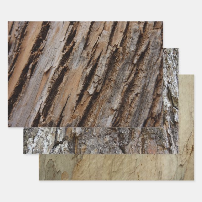 Tree Bark I Natural Abstract Textured Design Wrapping Paper Sheets (Set)